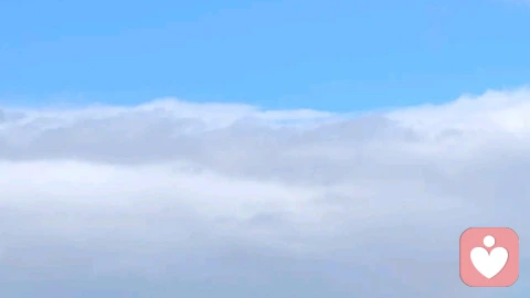 什么叫做“精致穷”