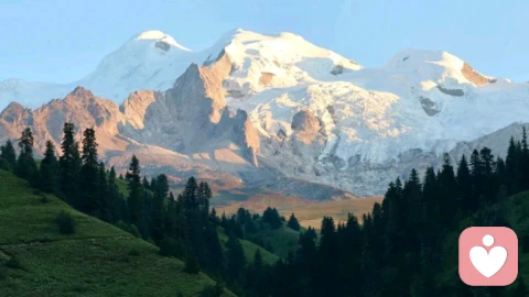 生活本来就是螺旋