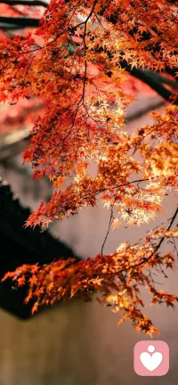 简单的事情重复做，你就是专家；重复的事情，用心做，你就是赢家。