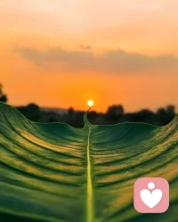 已经不是忙里偷闲了
现在有点死里偷活了