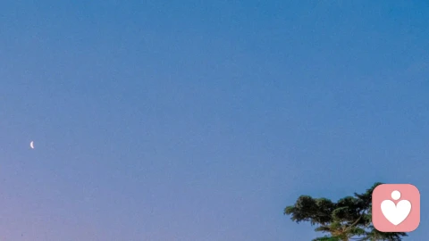 注意力是你唯一可以随意调用且能产出价值的最重要资源