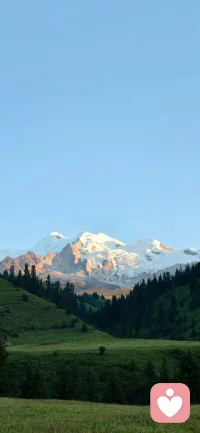 总有那么一年，你会下定决心，和许多人许多事，说再见……配图