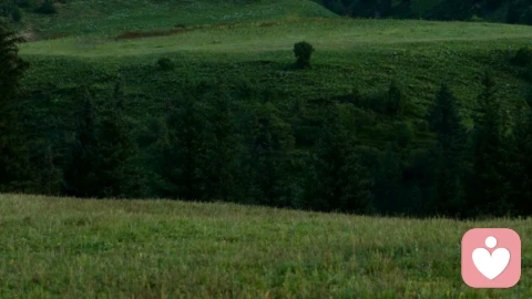 “圆滑易得一时，方正方得一生”是对的吗？