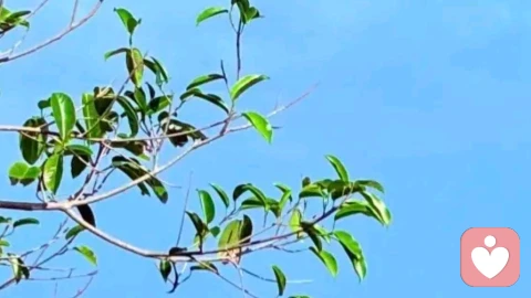 不必合群，同频自会相见