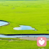 春水初生，春林初盛。----春分配图