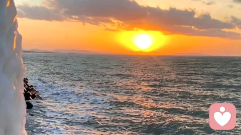 你是“ⅰ”人吗？