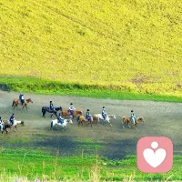 日渐清醒  
       得失随意配图
