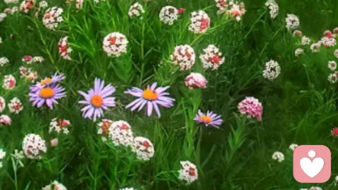 什么情况下需要心理咨询