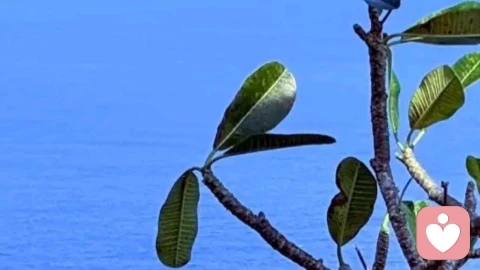 胖，可能因为太委屈