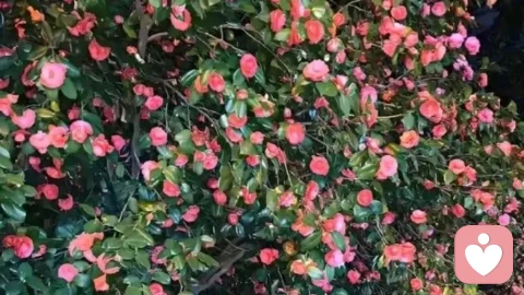 着急，是一种负能量