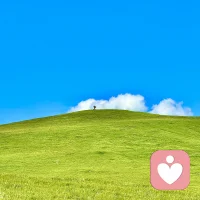 我们不需要解开误会
彼此过好各自的生活
永远不见面
就是你我最大的和解配图