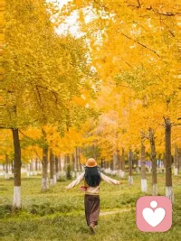 从此无心爱良夜，
任他明月下西楼。配图