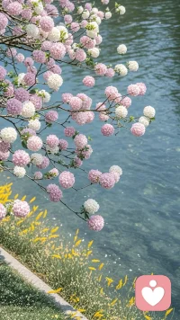 心有山水不造作，
静而不争远是非。配图