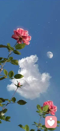 此去春山不远，自有繁花铺满阶。配图