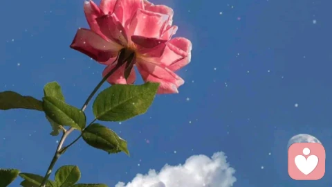 什么是21天效应？