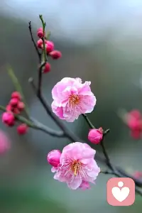 敢诛己心者
    皆是改命人配图