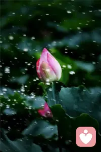 慢慢理解世界，慢慢更新自己。配图