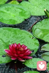 关系是镜子，照见的是自己。配图