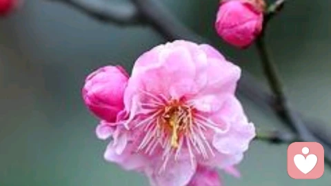 为什么借钱的人，最后都不想还了