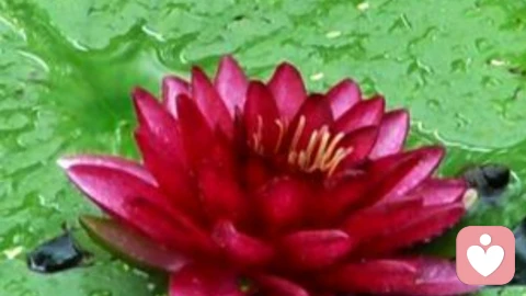 为什么很多人上班上的很痛苦