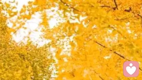 为什么穷人很少得到贵人的帮助