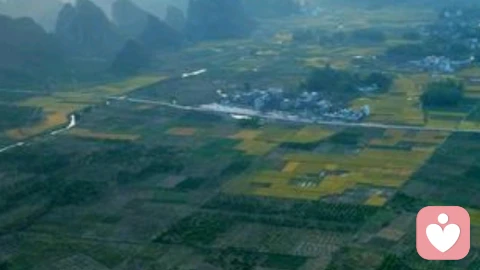 一个人最舒服的状态莫过于独处