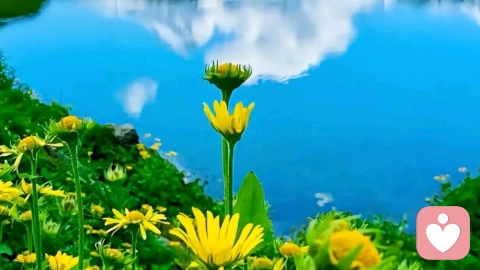 亲密产生轻蔑，忠诚产生虐待