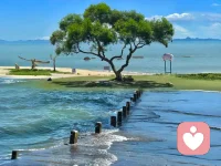 这个世界什么都有，就是没有如果。配图