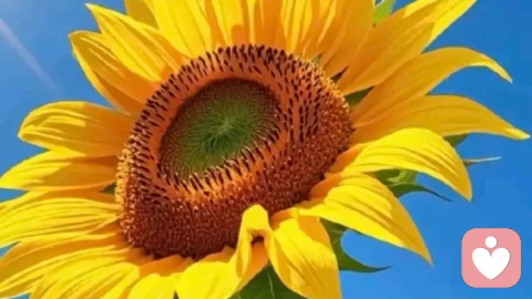 为什么说负债比贫穷可怕100倍