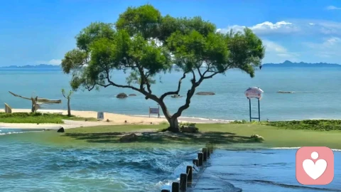 会赚钱的人更会提供情绪价值