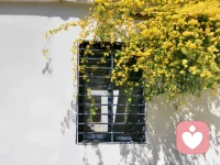 远离一些不舒服的关系，
人生何其短，怎么灿烂怎么闪！