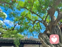 只要过程是精彩的，那这个过程其实就是结局。