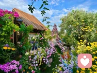 心无波澜处，
智慧悄然生，
智生则事成。