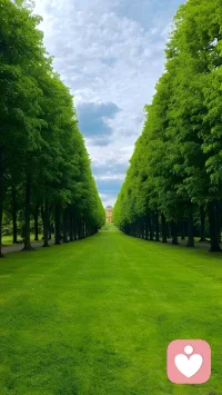 有人相遇，使你相信人间值得，
有人相遇，教你人间清醒。
你呢？遇了谁？