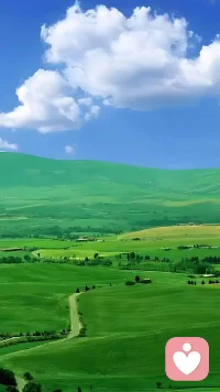 争其必然，顺其自然。配图