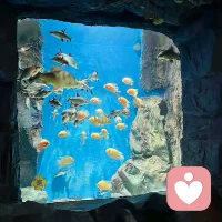 生活就是自己哄自己，把自己劝明白了，什么都解决了。配图