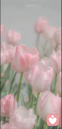 选错了就选错了，别总是欺负以前的自己。她当时一个人，站在迷雾里也很迷茫。配图