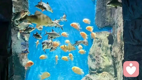 为什么你的“天赋”消失了?