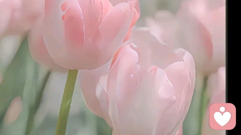 什么是“幸存者偏差”