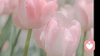 什么是“幸存者偏差”