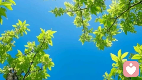 职场中最大的恶是用最小的权利最大程度的为难别人