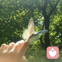 知人不必言尽，允许真情和假意并存，别和任何人较真，别为难自己。配图