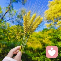 格局打开，你会发现很多事情，根本不配影响你的情绪。配图