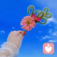 当你运气不好的时候，试试自己的勇气。配图