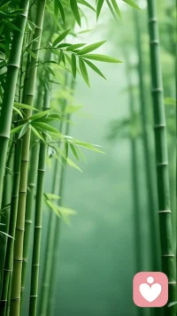 当你做什么事都有人挑毛病，你就要知道，不是你不够好，而是有人见不得你好。配图