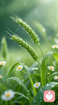 野草沉夏，半生潦草，从此天涯陌路，独自行往。