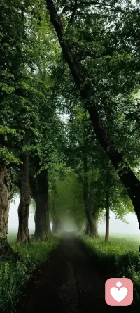 所有关系，只要你不要了，局就解了。有时候放弃，何尝不是一种人生的重启。