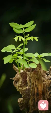 太急，是一种很强的负能量！