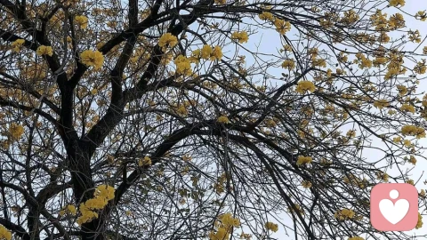 为什么道理都懂，却依然过不好这一生？