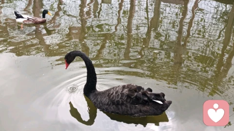 习惯性内耗，是一个人最愚蠢的思维方式